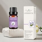 Aromatic Perfume Set Supplier - Natural Sweet Orange Eucalyptus Tea Tree Camellia Bulk Fragrant