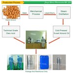 Sweet Almond Essential Oil Factory - 100% Pure Wholesale Price for Aroma Diffusion Cosmetic