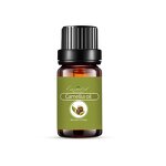 Camellia Oil Manufacturer - Essential Oils Wholesale Ultra-Refined Lightweight Nourishing Facial Oil