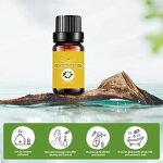 Camellia Oil Manufacturer - Essential Oils Wholesale Ultra-Refined Lightweight Nourishing Facial Oil