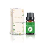 Eucalyptus Essential Oil Manufacturer - Supply 100% Pure Natural Fresh Bulk Wholesale for Aromatherapy