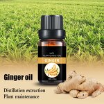 Ginger Essential Oil Supplier - 100% Pure Organic Natural Steam Distilled Bulk Wholesale Price