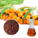 Seabuckthorn Seed Oil Manufacturer - Topical Therapeutic Grade High Quality for Skin Use
