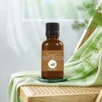 Angelica Root Essential Oil Factory - Wholesale Bulk 100% Pure Nature-Inspired Essential Oil
