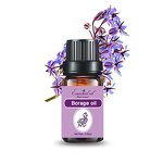 Borage Seed Essential Oil Supplier - High Demand High Quality Fresh Odor for Dry Skin Care Wholesale