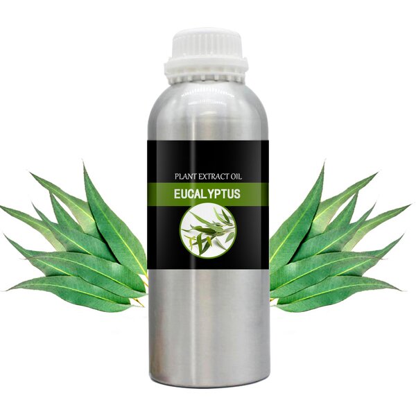 Eucalyptus Pure Essential Oil Manufacturer - Wholesale Bulk Skin Revitalizer for Cosmetic Aromatherapy