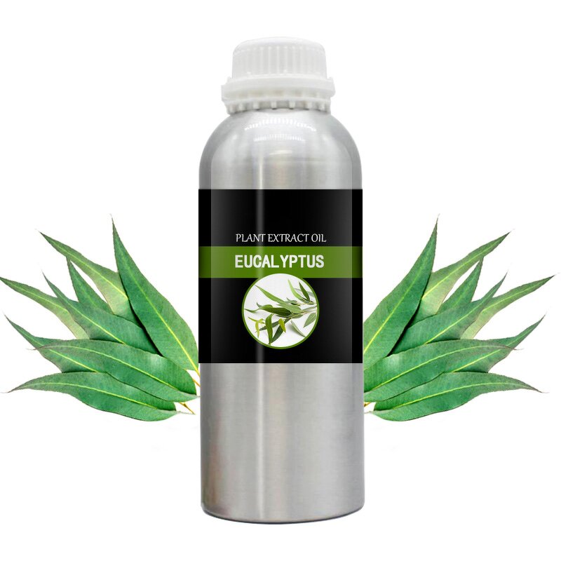 Eucalyptus Pure Essential Oil Manufacturer - Wholesale Bulk Skin Revitalizer for Cosmetic Aromatherapy