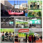 Fenugreek Essential Oil Factory - Pure for Aromatherapy Seed Extracted for Diffusers