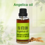 Angelica Root Oil Supplier - 100% Pure Nature Steam-Distilled Undiluted Essential Oil Manufacture
