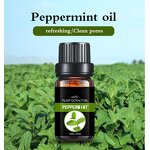 Peppermint Essential Oil Factory - Bulk 100% Pure Natural for Soap Candle Making Aromatherapy