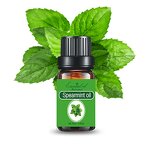 Spearmint Essential Oil Factory - Essential Oil Wholesale Premium Refreshing 100% Pure Natural