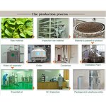 Patchouli Essential Oil Supplier - Earthy Alcohol-Free for Soap Making Massage Blends Natural