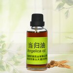 Angelica Root Essential Oil Factory - Wholesale Bulk 100% Pure Nature-Inspired Essential Oil