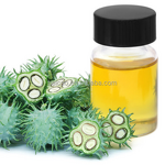 Castor Oil Manufacturer - 100% Pure Natural Organic Cold Pressed Seeds Liquid for Hair