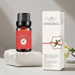 Wintergreen Essential Oil Supplier - Steam Distillation High Quality Wholesale Essential Oil