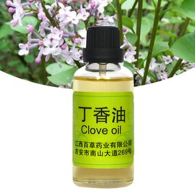 Clove Essential Oil Manufacturer - Wholesale High-quality Pure Natural Extracted From Plants