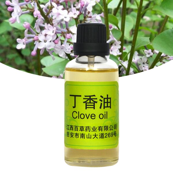 Clove Essential Oil Manufacturer - Wholesale High-quality Pure Natural Extracted From Plants