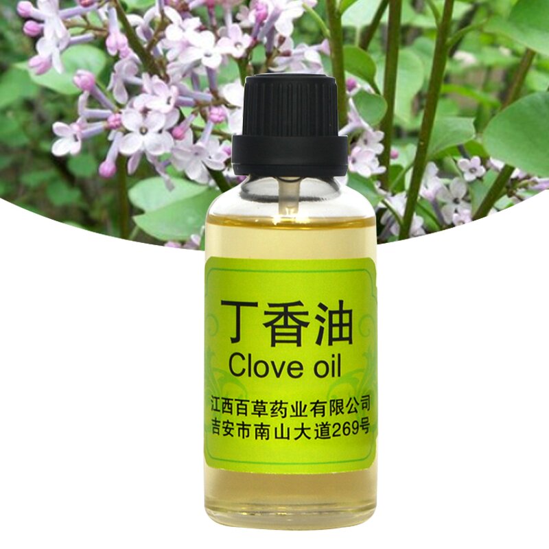 Clove Essential Oil Manufacturer - Wholesale High-quality Pure Natural Extracted From Plants