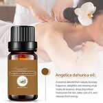 Angelica Root Essential Oil Factory - Wholesale Bulk 100% Pure Nature-Inspired Essential Oil