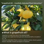 Grapefruit Essential Oil Supplier - Sweet Odor Food Grade Plant Extract for Beverage Flavoring