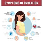 Ovulation Test Cassette Factory - Rapid Detection Test Strips