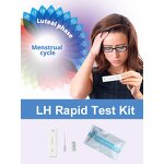 Ovulation Test Strip Supplier - Rapid Accurate LH Detection