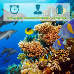 Ammonia Test Kit Factory - Fish Pond Water Quality Strip Kit