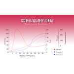 Pregnancy Test Kit Supplier - One-Step HCG Urine Kit for Women