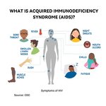 HIV Test Kit Manufacturer - Rapid Professional One Step Blood