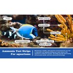Ammonia Test Kit Factory - Fish Pond Water Quality Strip Kit