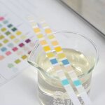 Pet Urine Test Strips Manufacturer - 12 Parameter for Dogs Cats