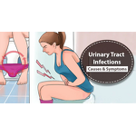 UTI Test Strips Supplier - 3 Parameter Nitrite Leukocytes pH