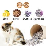 Cat Litter Manufacturer - China Factory Wholesale Price Bentonite Clay Deodorizer Strong Clumping