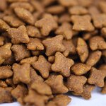 Dry Dog Food Factory - Top Selling High-End Bulk Puppy Grain-Free Cat Fish 10kg