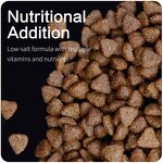 Pet Dry Food Manufacturer - Factory Direct Sale Gluten-Free Complete Vitality 10kg MOQ