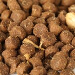 Dry Pet Food Supplier - Grain-Free for Adult Cats Eco-Friendly All Breeds 10kg MOQ