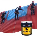 Door Coating Paint Supplier - High Fullness Steel Liquid Appearance