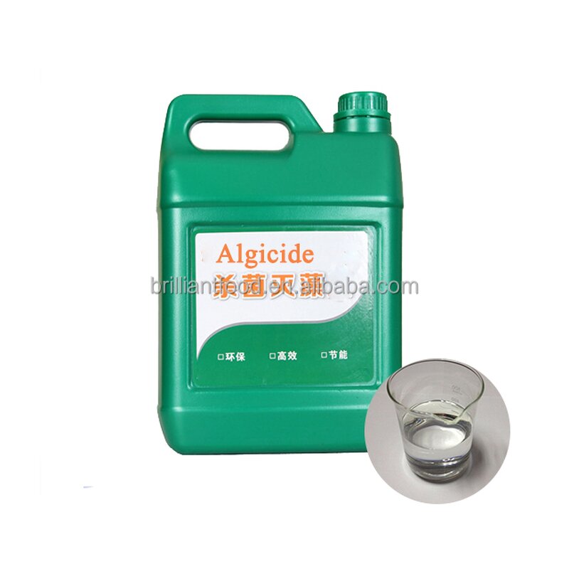 Algaecide 60 Supplier - 5L Package for Swimming Pool Water