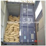 L-Lysine Sulfate Supplier - 98.5% Feed Grade Additive