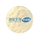 Aminopeptidase Enzyme Supplier - Food Grade for Flavor Enhancer