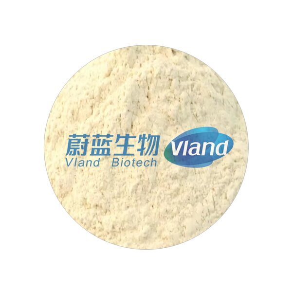 Aminopeptidase Enzyme Supplier - Food Grade for Flavor Enhancer