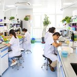 Gamma-Cyclodextrin Factory - Food Additive Raw Material CAS