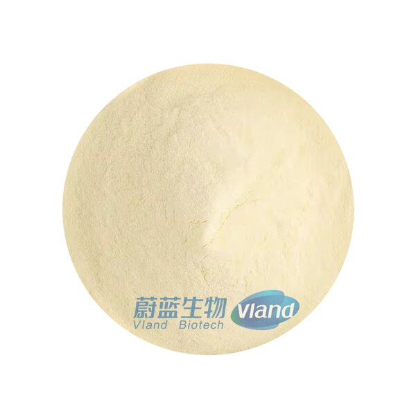 Xanthan Gum Powder Supplier - 80/200 Mesh 1200 Cps Min