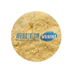 Tannase Powder Manufacturer - 100U/g Food Additive Enzyme