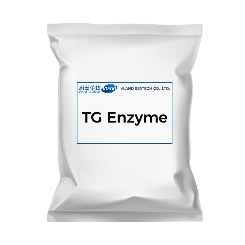 Transglutaminase Enzyme Supplier - High Quality for Food