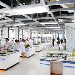 Aminopeptidase Factory - Food Grade Flavor Enzyme Additive