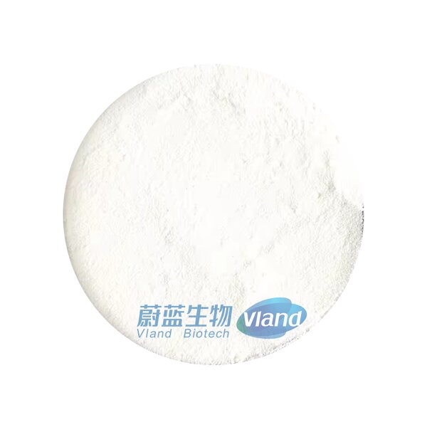 Methyl Cellulose Supplier - Tailor-Made Viscosity Food Additive