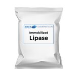 Immobilized Lipase Factory - Powder Industrial Grade Enzyme