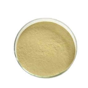 Cellulase Powder Manufacturer - 8000U/g Food Additive Enzyme