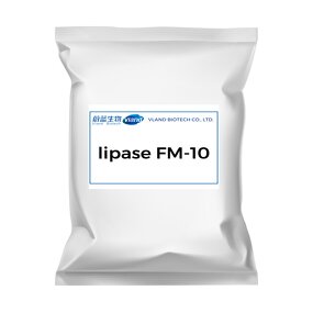 FM-10 Lipase Manufacturer - 100000 U/g for Biodiesel